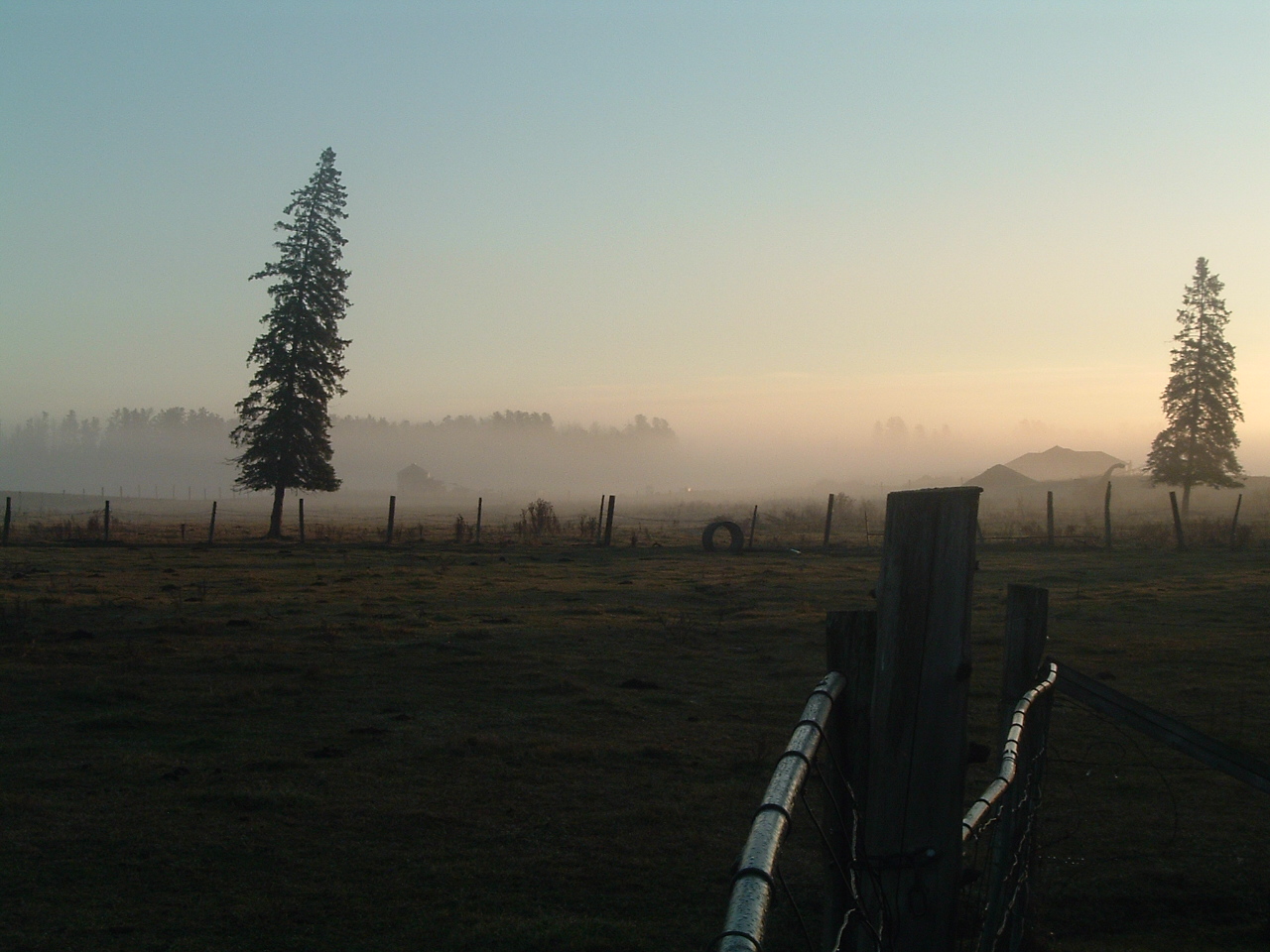 hazy early dawn photo of field